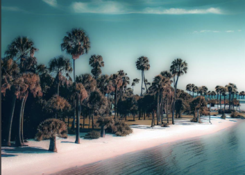 How To Hookup In Florida | Tricks & Helpful Information!