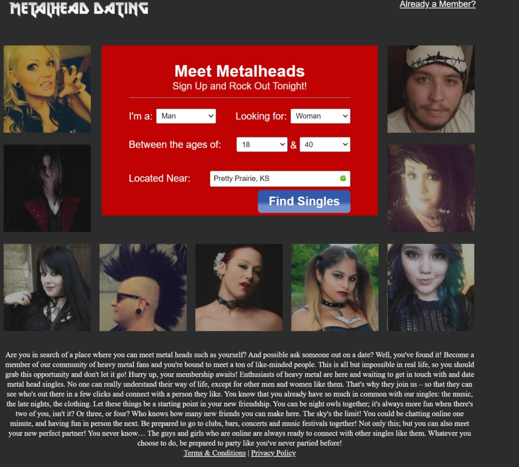 MetalHead Dating Review main page