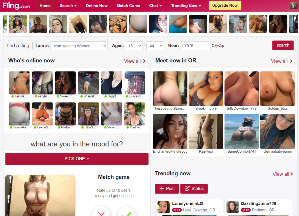 Fling.com Review